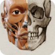 3D Anatomy for the Artist FULL 1.2.7.1 – Android App, 3D Anatomy for Artists + Database 1 3D Anatomy for the Artist FULL 1.2.7.1 – Android App, 3D Anatomy for Artists + Database