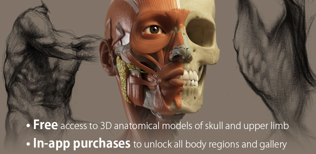 3D Anatomy for the Artist FULL 3D Anatomy for the Artist FULL