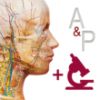 Anatomy & Physiology 6.2.00 – Complete Anatomy and Physiology App for Android + Data
