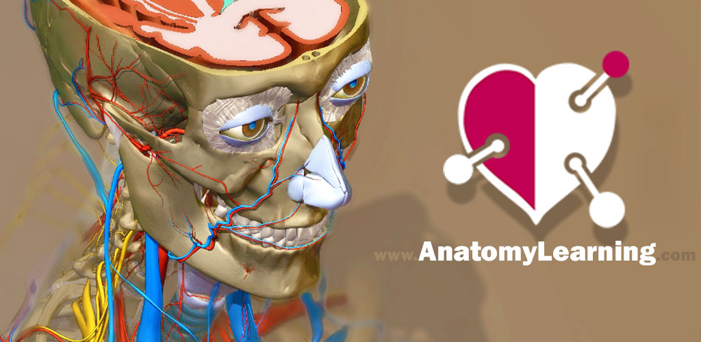 AnatomyLearning 3D OFFLINE - FULL UNLOCKED AnatomyLearning 3D OFFLINE - FULL UNLOCKED