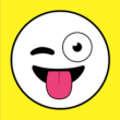 Banuba Pro – Live Face Filters & Funny Video Effects 3.9.2 – Entertaining Live Effects for Android!