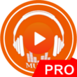 Best Music Player Pro – Mp3 Player Pro for Android 1.02 – Fast and High-Quality Music Player for Android!