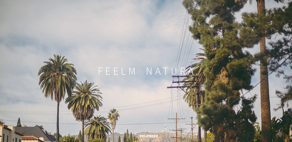 Feelm Natura - Analog Filters Feelm Natura - Analog Filters
