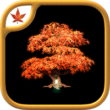 Fire Maple Games Collection 1.0.9 – Ultimate Adventure Puzzle Game Bundle for Android + Data