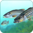Fishing Fanatic – Fishing App with Solunar Charts 2.7 – Android Fishing and Tide Program!