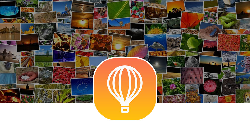 GrowUp Photo Gallery GrowUp Photo Gallery