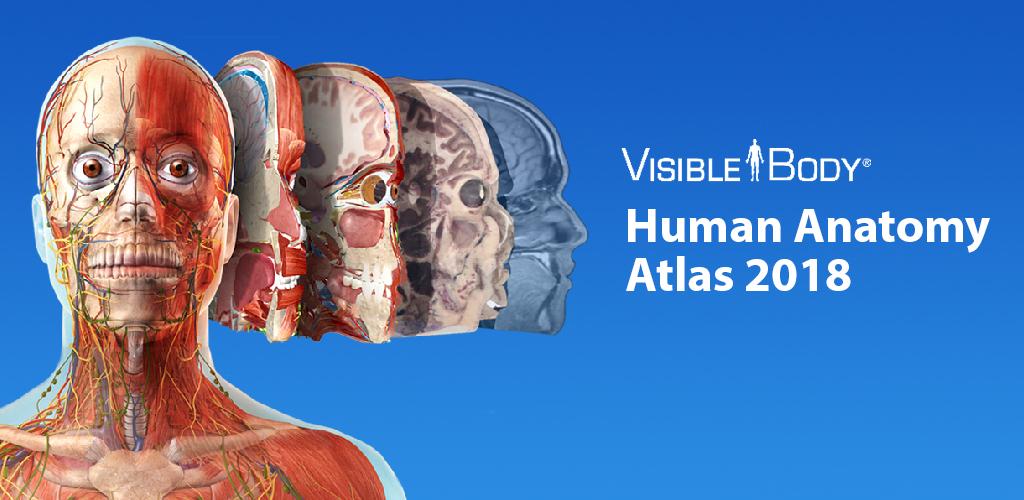 Human Anatomy Atlas 2018 Full Human Anatomy Atlas 2018 Full