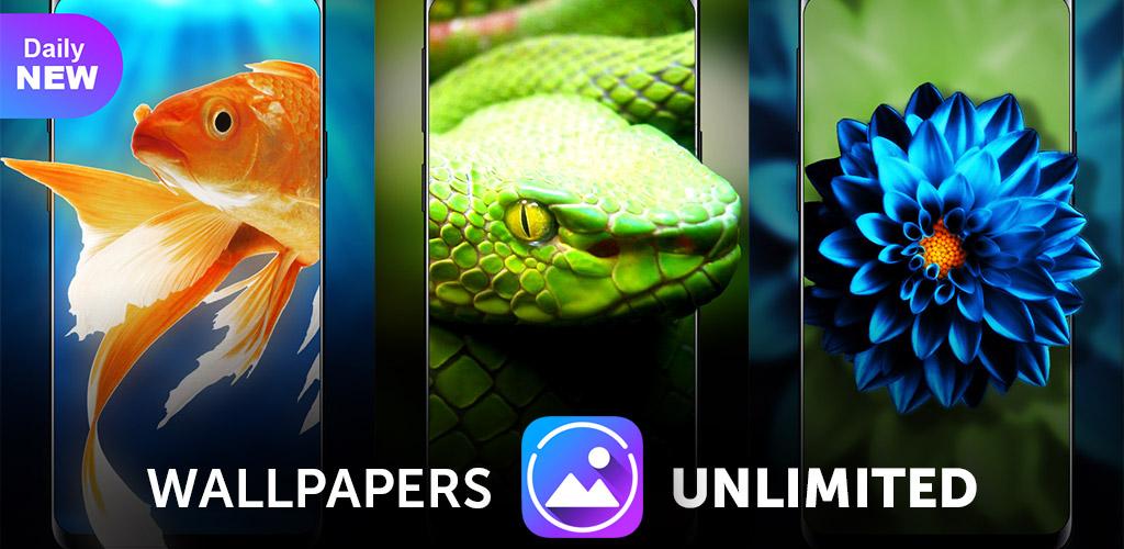Live Wallpapers Unlimited Full Live Wallpapers Unlimited Full