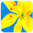 Photo & Video Gallery 2.0 – Smart Android Photo Gallery 1 Photo & Video Gallery 2.0 – Smart Android Photo Gallery