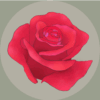 Rosa’s Garden 3.0 – Relaxing Gardening Simulation Game for Android 7 Rosa’s Garden 3.0 – Relaxing Gardening Simulation Game for Android