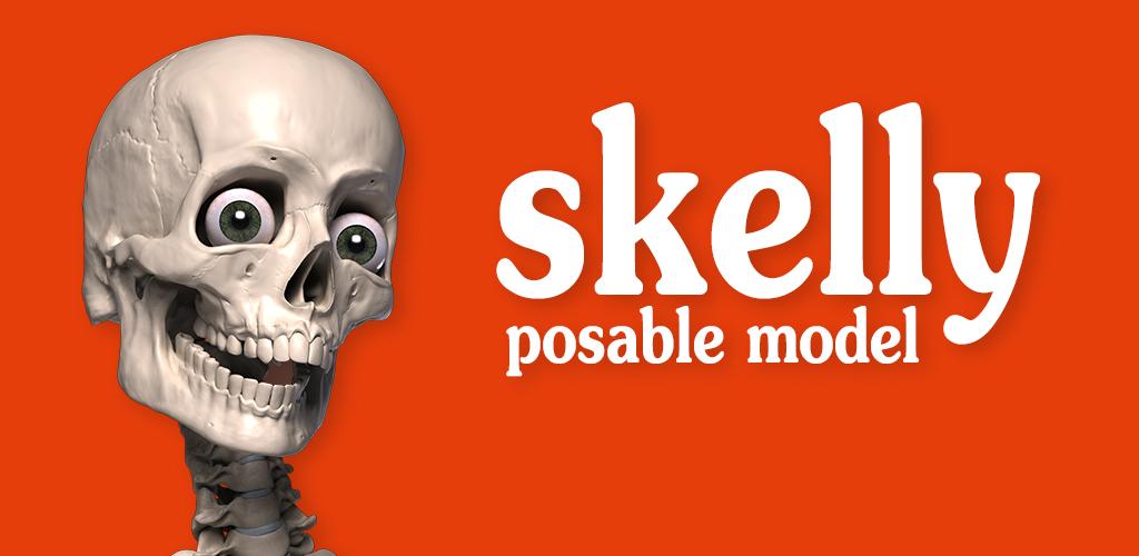 Skelly Poseable Anatomy Model Skelly Poseable Anatomy Model