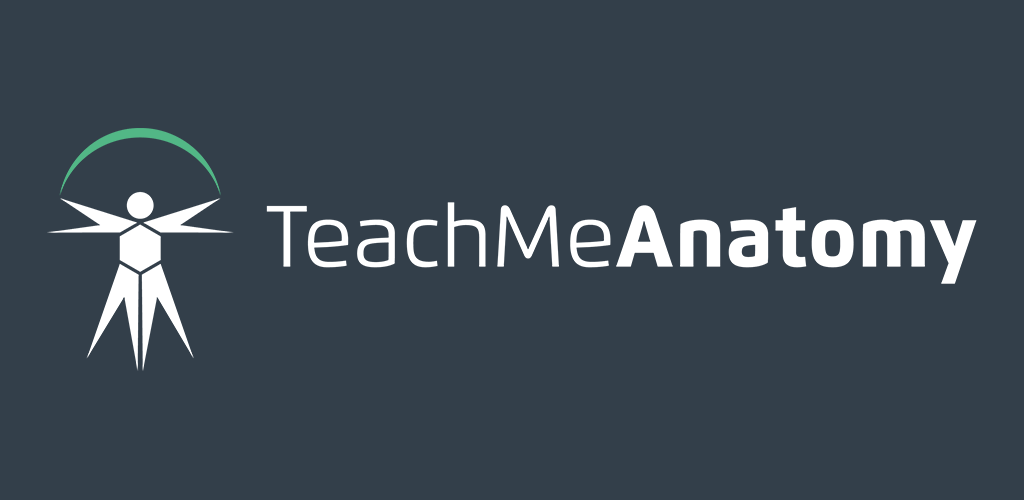 Teach Me Anatomy Teach Me Anatomy