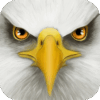 Ultimate Bird Simulator 1.3 – Fun and Engaging Bird Life Simulation Game for Android! 18 Ultimate Bird Simulator 1.3 – Fun and Engaging Bird Life Simulation Game for Android!