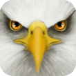 Ultimate Bird Simulator 1.3 – Fun and Engaging Bird Life Simulation Game for Android!