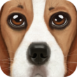 Ultimate Dog Simulator 1.2 – Realistic Dog Simulation Game for Android + Mod 1 Ultimate Dog Simulator 1.2 – Realistic Dog Simulation Game for Android + Mod