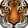 Ultimate Jungle Simulator 1.2 – Exciting Animal Life Simulation Game for Android! 1 Ultimate Jungle Simulator 1.2 – Exciting Animal Life Simulation Game for Android!