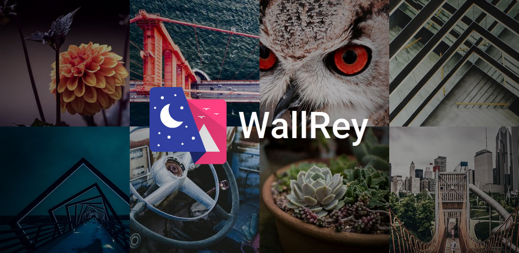 WallRey - Elegant HD wallpaper WallRey - Elegant HD wallpaper
