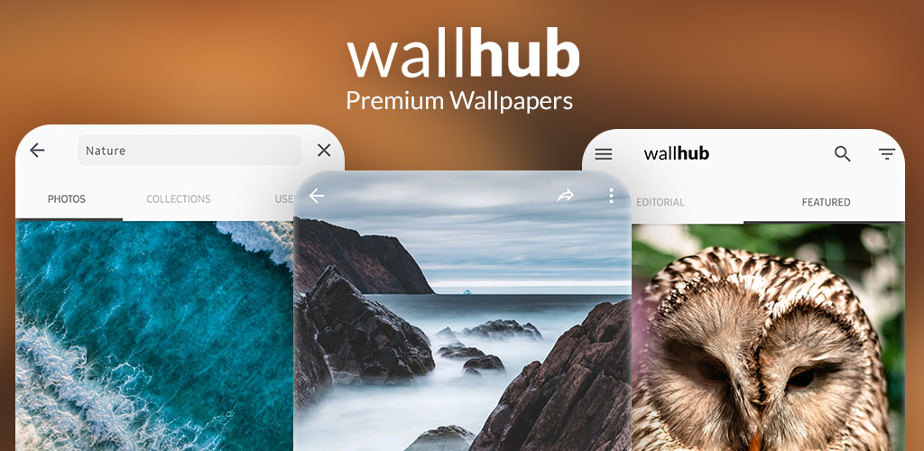 Wallhub Wallhub