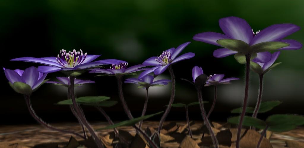 Yukiwarisou 3D Live Wallpaper Pro Yukiwarisou 3D Live Wallpaper Pro
