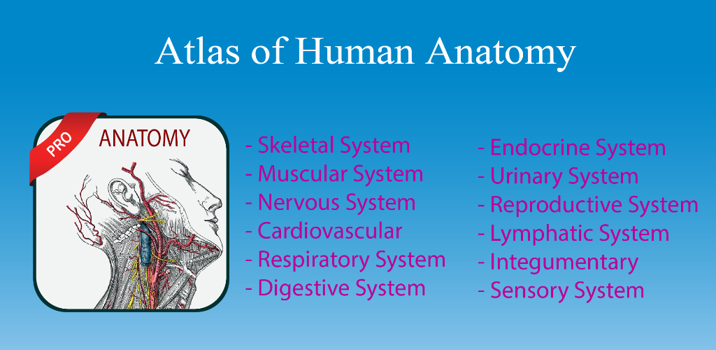 Gray’s Atlas of Anatomy Pro (No Ads) Gray’s Atlas of Anatomy Pro (No Ads)