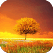 Awesome Land Pro Live wallpaper 3.1.3 – Stunning Dreamland Live Wallpaper for Android 1 Awesome Land Pro Live wallpaper 3.1.3 – Stunning Dreamland Live Wallpaper for Android