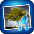 Rainy Daze 2.49 – Atmospheric Rain Effects Photo Editor for Android