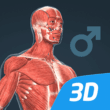 Human body (male) educational VR 3D 1.24 – Complete male body learning app for Android 1 Human body (male) educational VR 3D 1.24 – Complete male body learning app for Android