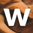 Wallhub 1.0.5 – Premium High-Quality Wallpaper Collection for Android 1 Wallhub 1.0.5 – Premium High-Quality Wallpaper Collection for Android