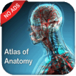 Gray’s Atlas of Anatomy Pro (No Ads) 1.0 – Comprehensive Human Anatomy Learning App for Android 1 Gray’s Atlas of Anatomy Pro (No Ads) 1.0 – Comprehensive Human Anatomy Learning App for Android