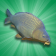 Carp Fishing Simulator 1.9.8.3 – Android Fishing Simulation Game + Data 1 Carp Fishing Simulator 1.9.8.3 – Android Fishing Simulation Game + Data