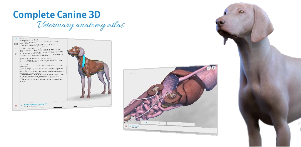 Complete Canine 3D – Anatomy Complete Canine 3D – Anatomy