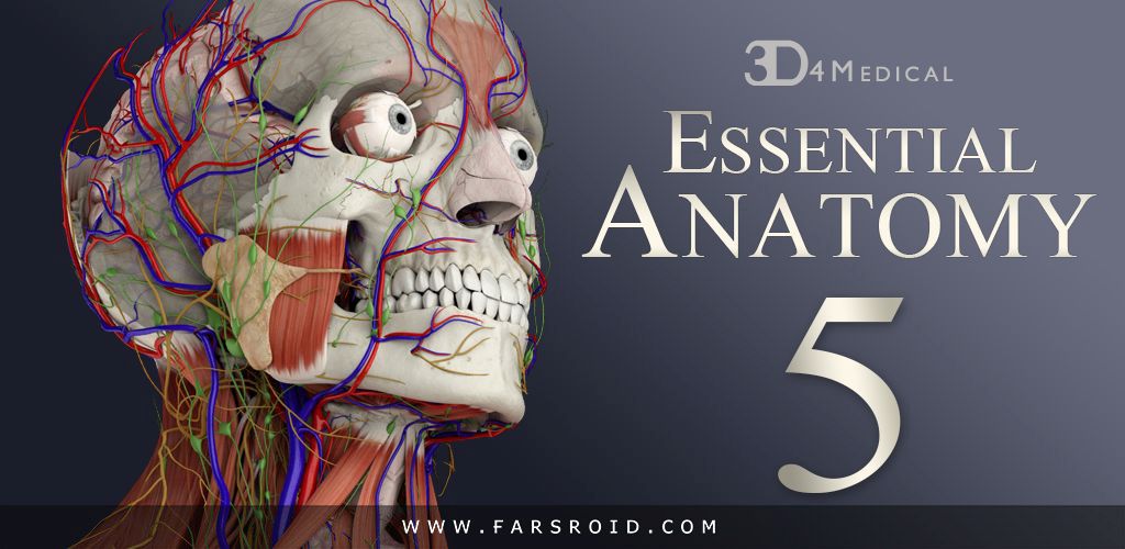 Essential Anatomy Essential Anatomy