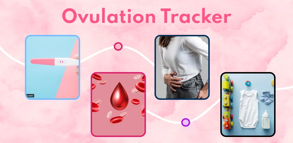Ovulation Tracker & Calculator
