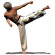 Taekwondo Forms 1.7.4g – Complete Taekwondo Forms Collection for Android
