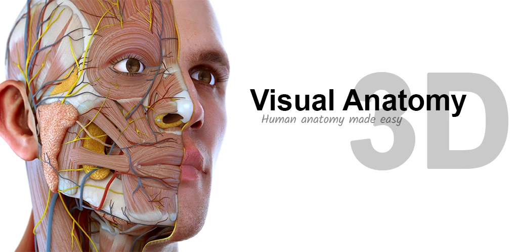 Visual Anatomy 3D