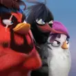 Angry Birds Evolution 2.9.25 – Puzzle RPG Bird Evolution Game 1 Angry Birds Evolution 2.9.25 – Puzzle RPG Bird Evolution Game