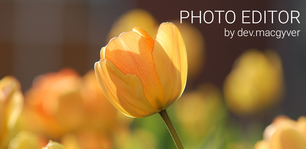 Photo Editor Android