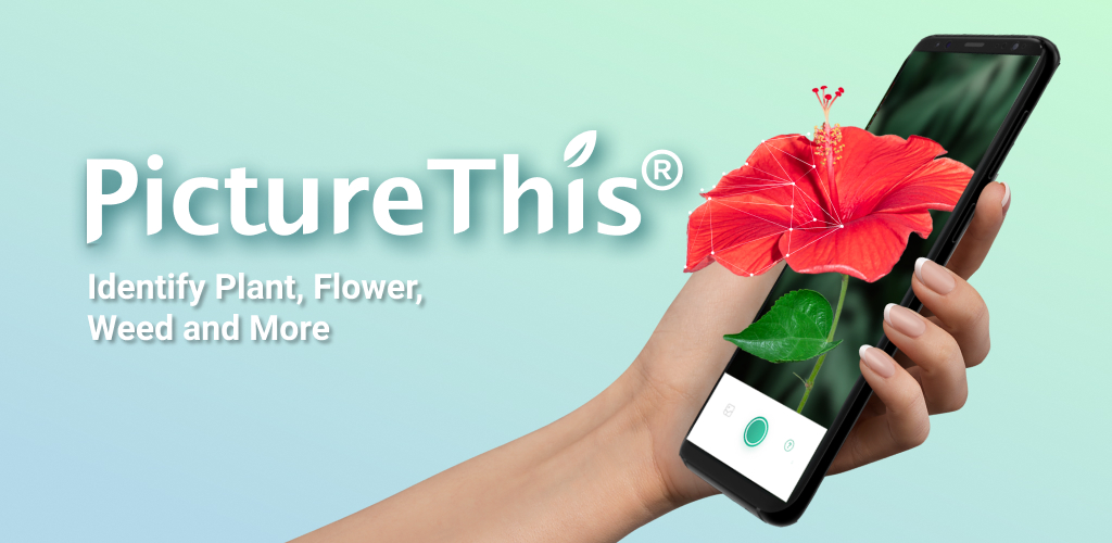 PictureThis PictureThis