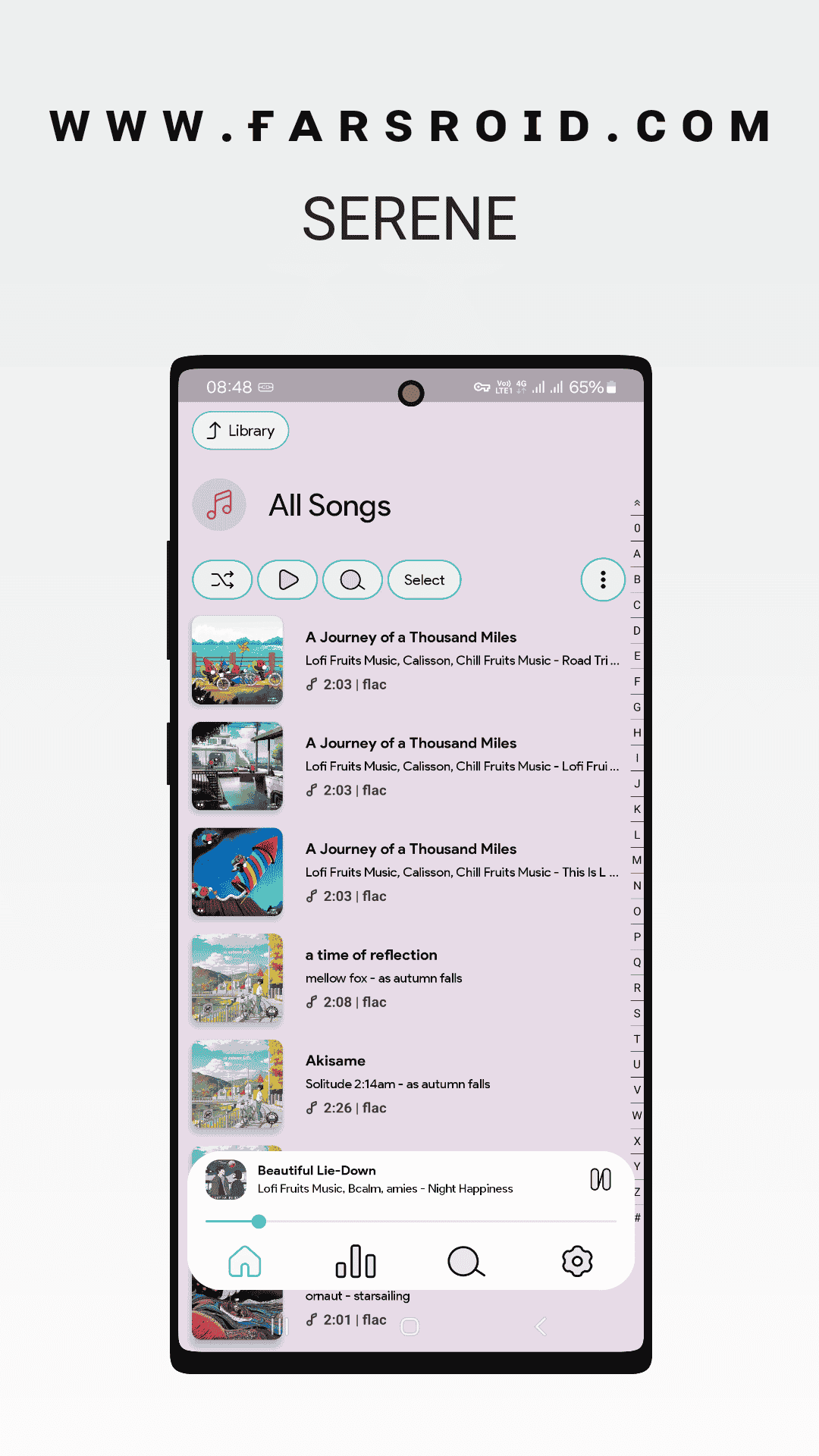 SERENE POWERAMP SKIN 01