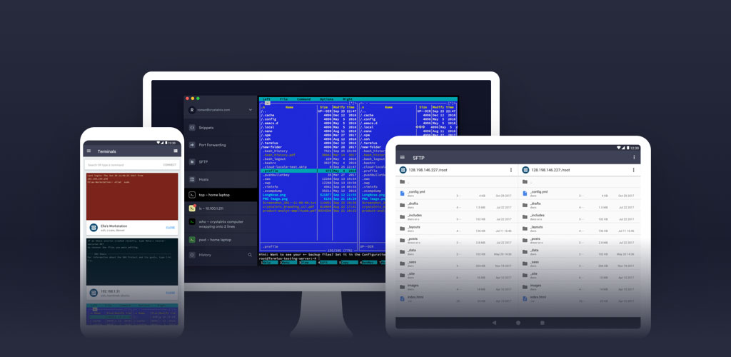 Termius - SSHSFTP and Telnet client Premium Termius - SSHSFTP and Telnet client Premium