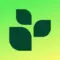 Lifesum Logo