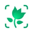 PictureThis Premium 5.28 – Educational Plant Identification and Introduction App 1 PictureThis Premium 5.28 – Educational Plant Identification and Introduction App