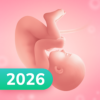 Pregnancy and Due Date Tracker 3.161.0 – Advanced Pregnancy Tracking App