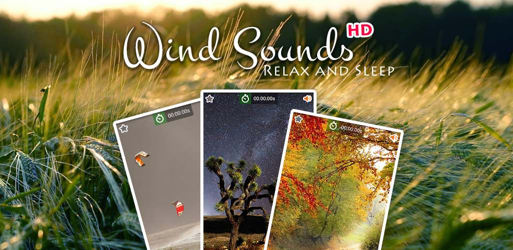 Wind Noise Wind Noise